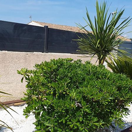 La Villa De L'Olivier Piscine Privee Et Parking Carcassonne Ngoại thất bức ảnh