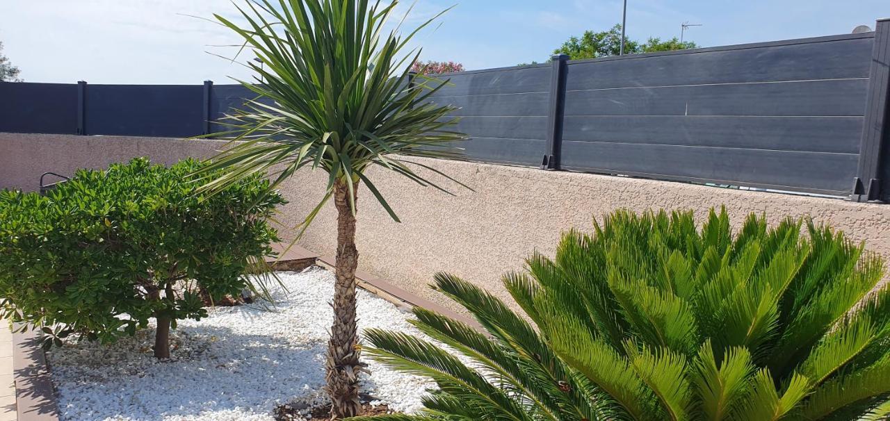 La Villa De L'Olivier Piscine Privee Et Parking Carcassonne Ngoại thất bức ảnh