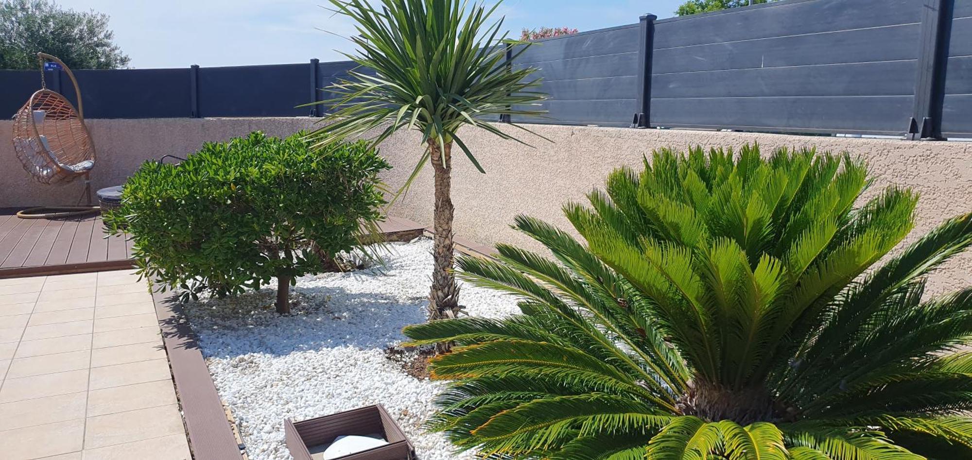 La Villa De L'Olivier Piscine Privee Et Parking Carcassonne Ngoại thất bức ảnh
